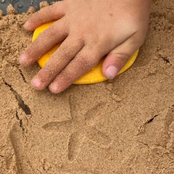 Let's Investigate - Seashore - Image 4