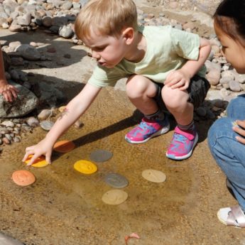 Let's Investigate - Seashore - Image 8
