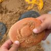 Let's Investigate - Seashore - Image 2