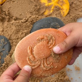 Let's Investigate - Seashore - Image 2