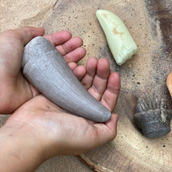 Prehistoric Teeth Durable Play Stones