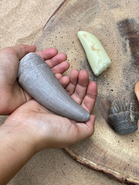 Prehistoric Teeth Durable Play Stones