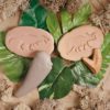Let's Investigate - Prehistoric Teeth - Image 6