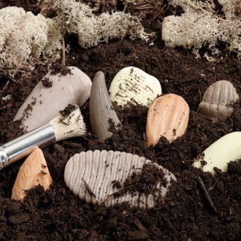 Prehistoric Teeth Pack - Image 6