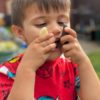 Let's Investigate - Prehistoric Teeth - Image 4