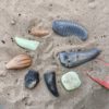 Let's Investigate - Prehistoric Teeth - Image 8