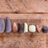 Let's Investigate - Prehistoric Teeth - Image 9