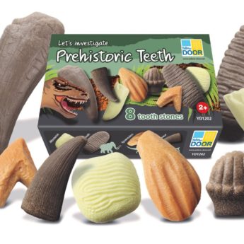 Prehistoric Teeth Pack - Image 3