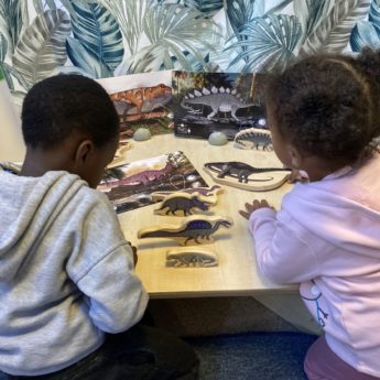 Prehistoric Teeth Explore and Discover Activity Cards - Image 7
