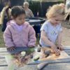 Prehistoric Teeth Explore and Discover Activity Cards - Image 3