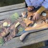 Prehistoric Teeth Explore and Discover Activity Cards - Image 4