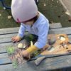 Prehistoric Teeth Explore and Discover Activity Cards - Image 2