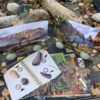 Prehistoric Teeth Explore and Discover Activity Cards - Image 8