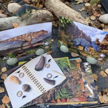Prehistoric Teeth Explore and Discover Activity Cards - Image 8