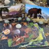 Prehistoric Teeth Explore and Discover Activity Cards - Image 5