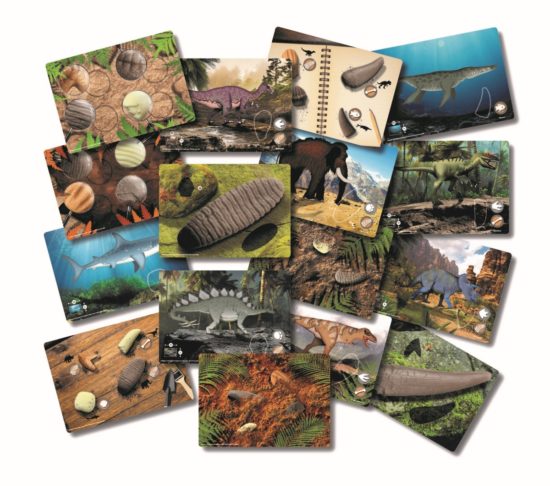 Prehistoric Teeth Activity Cards