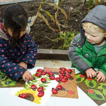 Ladybug Counting Pack - Image 8