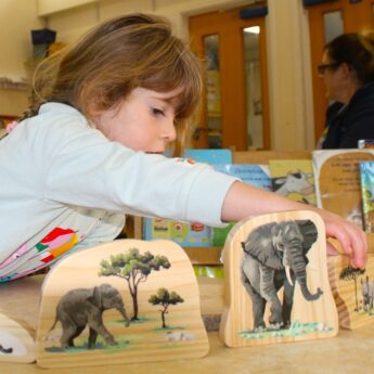 Endangered Animal Families Wooden Characters  - Image 5