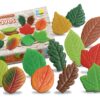 Leaves - Sensory Play Stones - Image 4