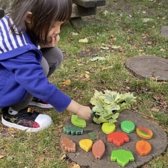 Leaves - Sensory Play Stones - Image 5