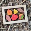 Leaves - Sensory Play Stones - Image 6