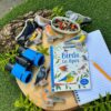 Birds - Sensory Play Stones - Image 5