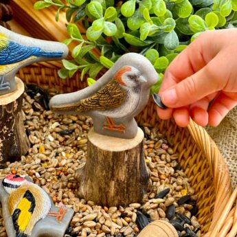 Birds - Sensory Play Stones - Image 15