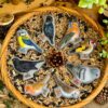 Birds - Sensory Play Stones - Image 10