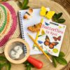 Butterflies - Sensory Play Stones - Image 7