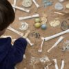 Dinosaur Bones Match and Measure Set - Image 5