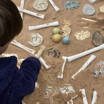 Dinosaur Bones Match and Measure Set - Image 5