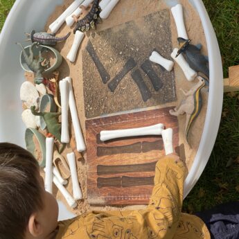Dinosaur Bones Match and Measure Set - Image 6