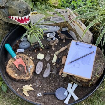 Prehistoric Teeth Pack - Image 8