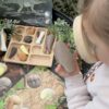 Prehistoric Teeth Pack - Image 2