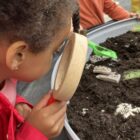 Dig and Discover – Ankylosaurus & Tyrannosaurus rex - Image 5