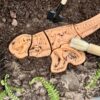 Dig and Discover – Ankylosaurus & Tyrannosaurus rex - Image 3
