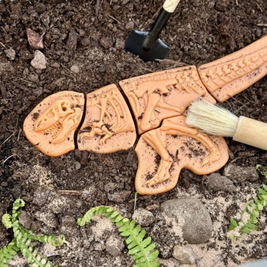 Dig and Discover – Ankylosaurus & Tyrannosaurus rex