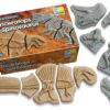 Dig and Discover – Triceratops & Spinosaurus - Image 2