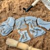 Dig and Discover – Triceratops & Spinosaurus - Image 3