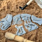 Dig and Discover – Triceratops & Spinosaurus - Image 3