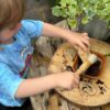 Dig and Discover – Triceratops & Spinosaurus - Image 4