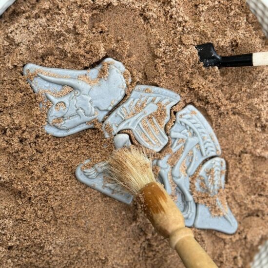 Dig and Discover – Triceratops & Spinosaurus