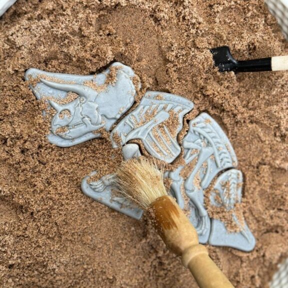 Dig and Discover – Triceratops & Spinosaurus
