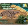 Dig and Discover – Pliosaur & Stegosaurus - Image 11