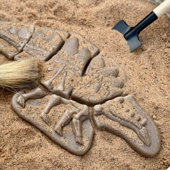 Dig and Discover – Pliosaur & Stegosaurus