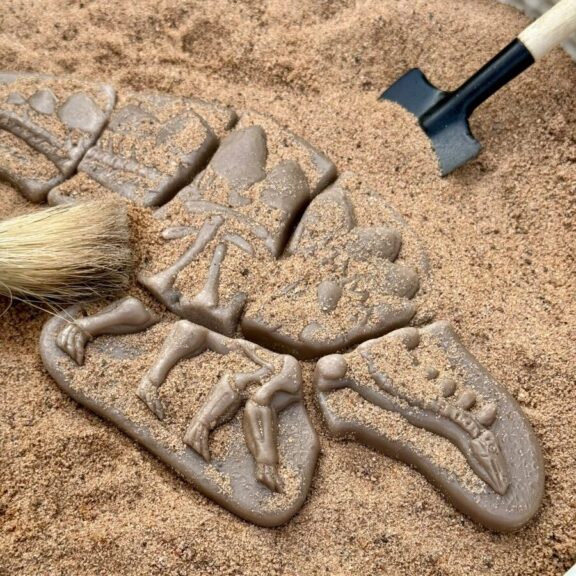 Dig and Discover – Pliosaur & Stegosaurus