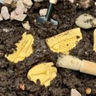 Dig and Discover – Pliosaur & Stegosaurus - Image 3