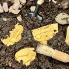Dig and Discover – Pliosaur & Stegosaurus - Image 7