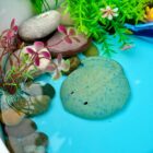 Fish – Sensory Play Stones - Image 8