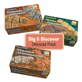 Dig and discover Dinosaurs 3 boxes on white background